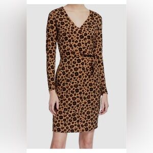 Leopard Printed Wrap V-Neck Dress